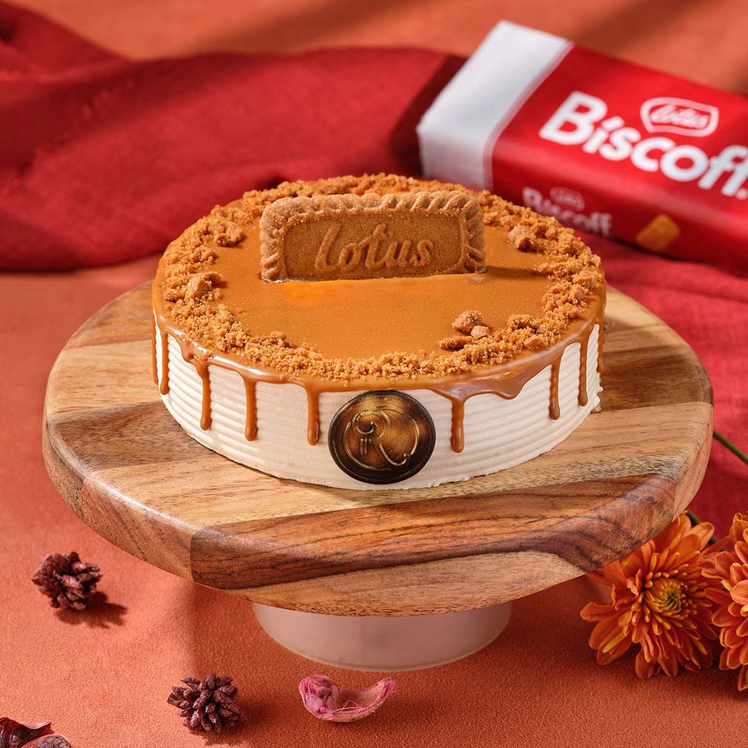 Revolution Bakers cake 9